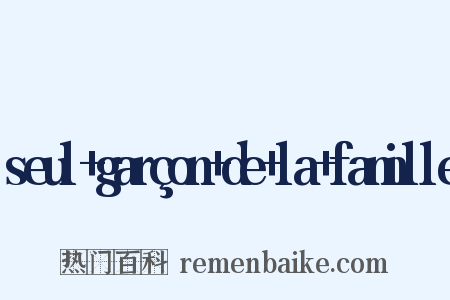 seul garçon de la famille是什么意思的图片